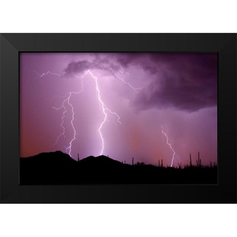 Striking Symmetry II Black Modern Wood Framed Art Print by Taylor, Douglas