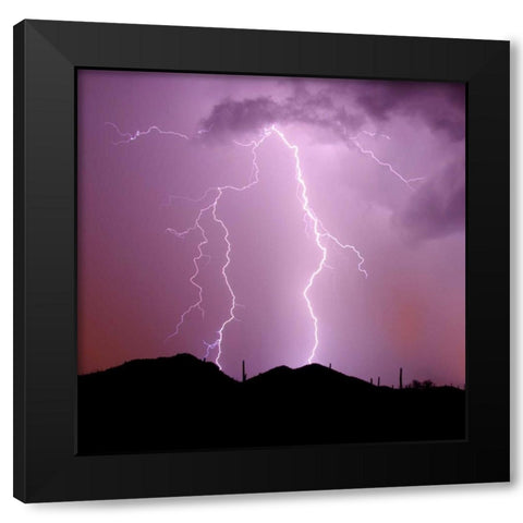 Summer Lightning I Black Modern Wood Framed Art Print by Taylor, Douglas