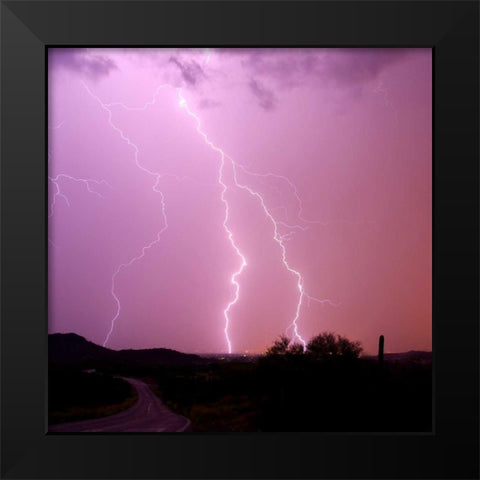 Summer Lightning II Black Modern Wood Framed Art Print by Taylor, Douglas