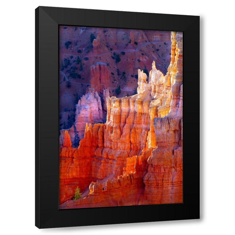 Bryce Canyon Dawn Black Modern Wood Framed Art Print with Double Matting by Taylor, Douglas