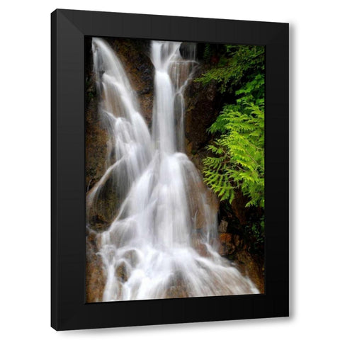 Falling Water I Black Modern Wood Framed Art Print with Double Matting by Taylor, Douglas