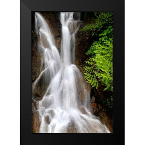 Falling Water I Black Modern Wood Framed Art Print by Taylor, Douglas