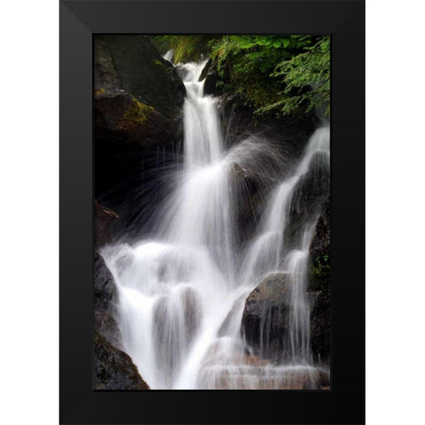 Falling Water II Black Modern Wood Framed Art Print by Taylor, Douglas