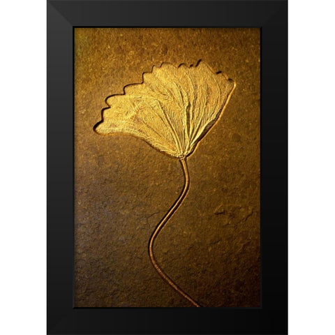 Crinoids II Black Modern Wood Framed Art Print by Taylor, Douglas