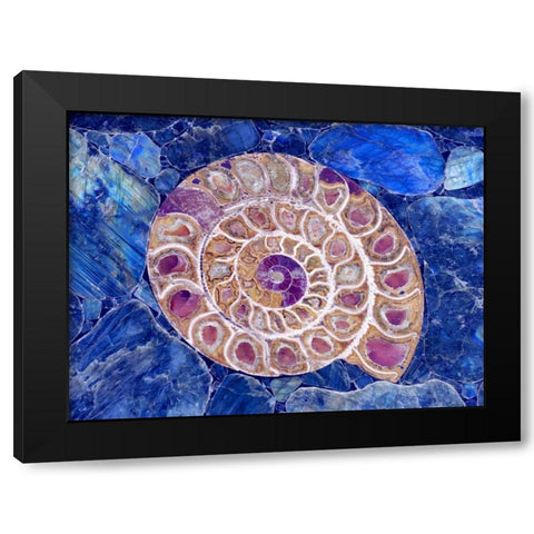 Ammonite in Labradorite Black Modern Wood Framed Art Print with Double Matting by Taylor, Douglas