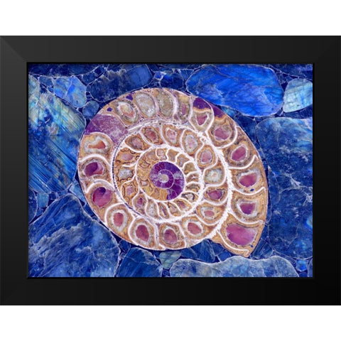Ammonite in Labradorite Black Modern Wood Framed Art Print by Taylor, Douglas