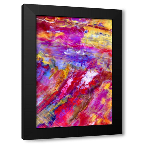 Petrified Wood Black Modern Wood Framed Art Print by Taylor, Douglas