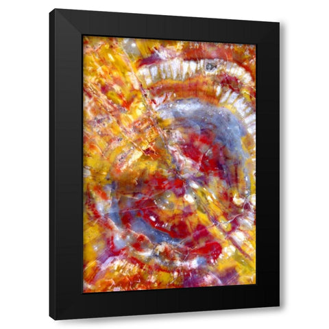 Spiral Galaxy Black Modern Wood Framed Art Print by Taylor, Douglas