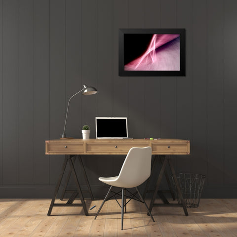 Flying A Black Modern Wood Framed Art Print by Taylor, Douglas