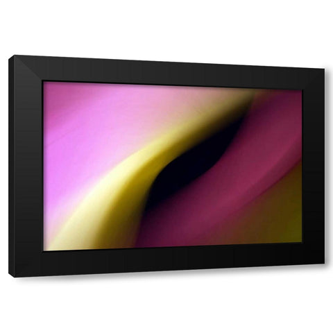 Twisted Beams I Black Modern Wood Framed Art Print by Taylor, Douglas