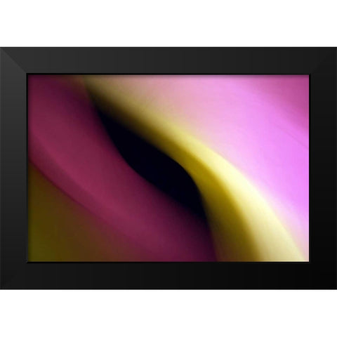 Twisted Beams II Black Modern Wood Framed Art Print by Taylor, Douglas