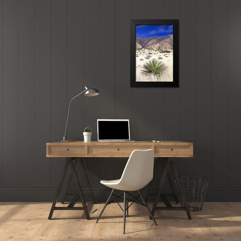Desert Grasslands I Black Modern Wood Framed Art Print by Taylor, Douglas