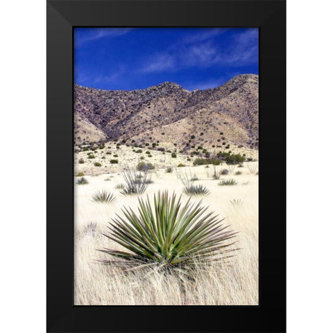 Desert Grasslands I Black Modern Wood Framed Art Print by Taylor, Douglas