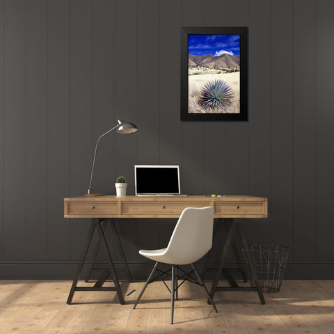 Desert Grasslands II Black Modern Wood Framed Art Print by Taylor, Douglas