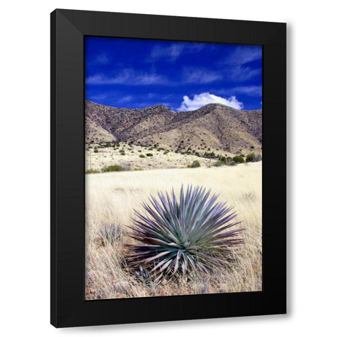 Desert Grasslands II Black Modern Wood Framed Art Print by Taylor, Douglas