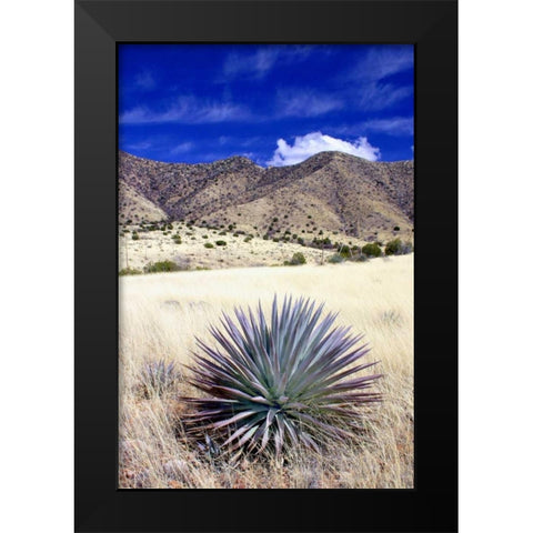 Desert Grasslands II Black Modern Wood Framed Art Print by Taylor, Douglas