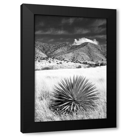 Desert Grasslands II BW Black Modern Wood Framed Art Print with Double Matting by Taylor, Douglas