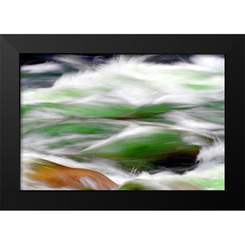 River Rapids Black Modern Wood Framed Art Print by Taylor, Douglas