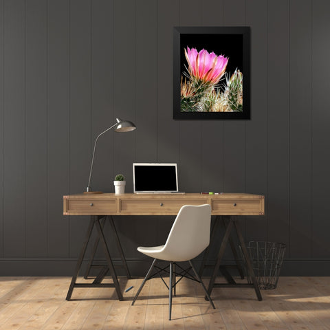 Armed and Beautiful Black Modern Wood Framed Art Print by Taylor, Douglas