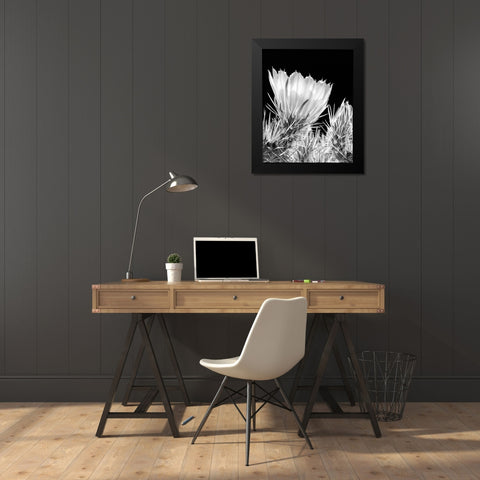 Armed and Beautiful BW Black Modern Wood Framed Art Print by Taylor, Douglas