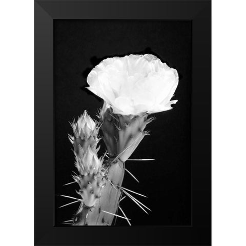 Beginning the Month of Yellow BW Black Modern Wood Framed Art Print by Taylor, Douglas