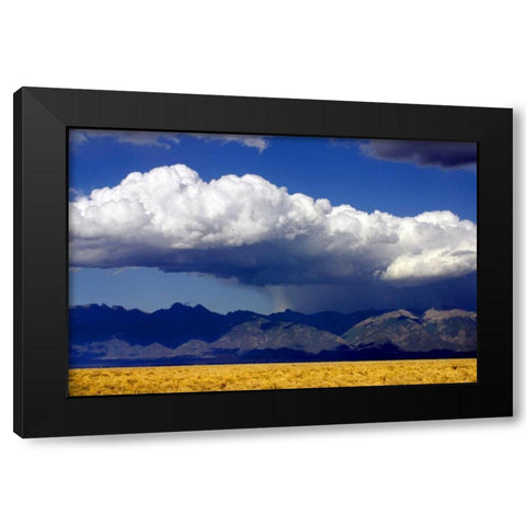 Cool Colorado Rain Black Modern Wood Framed Art Print by Taylor, Douglas