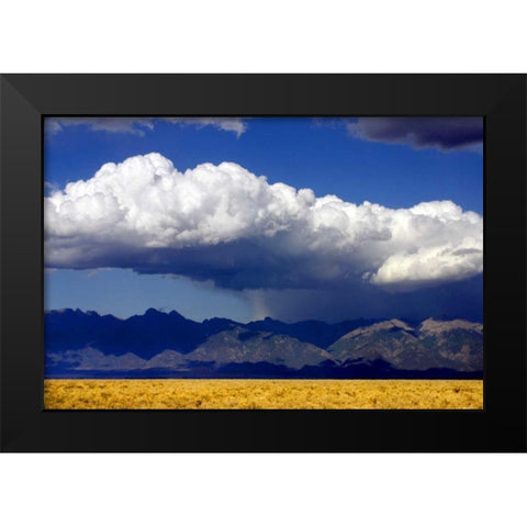 Cool Colorado Rain Black Modern Wood Framed Art Print by Taylor, Douglas