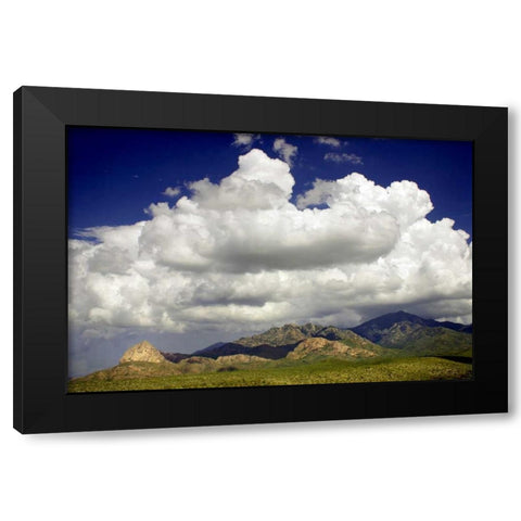 Santa Rita Mountains in August Black Modern Wood Framed Art Print with Double Matting by Taylor, Douglas