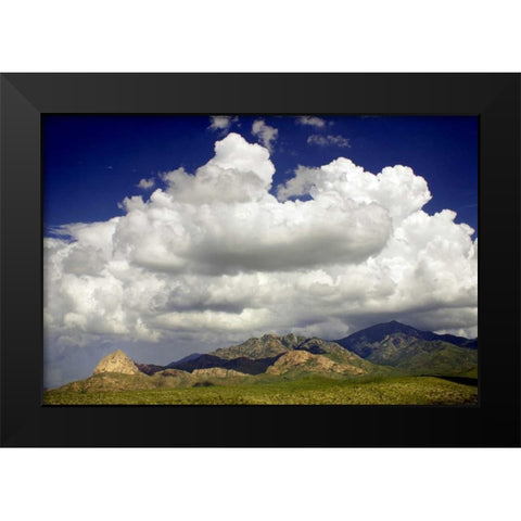 Santa Rita Mountains in August Black Modern Wood Framed Art Print by Taylor, Douglas