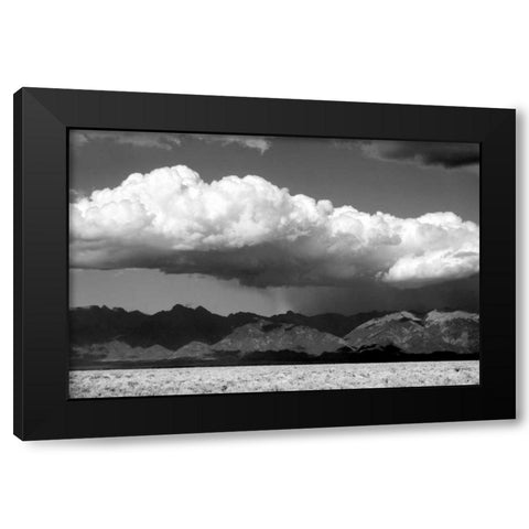 Cool Colorado Rain BW Black Modern Wood Framed Art Print by Taylor, Douglas