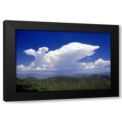 Distant Rain Black Modern Wood Framed Art Print by Taylor, Douglas