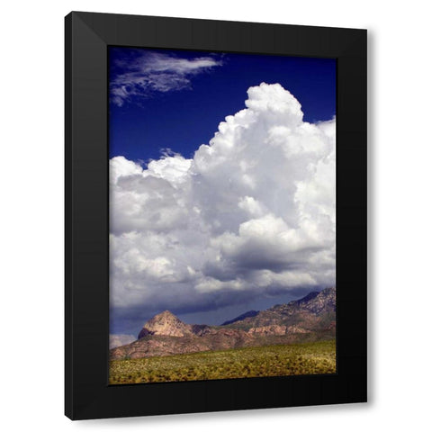 Gathering Summer Storm Black Modern Wood Framed Art Print by Taylor, Douglas