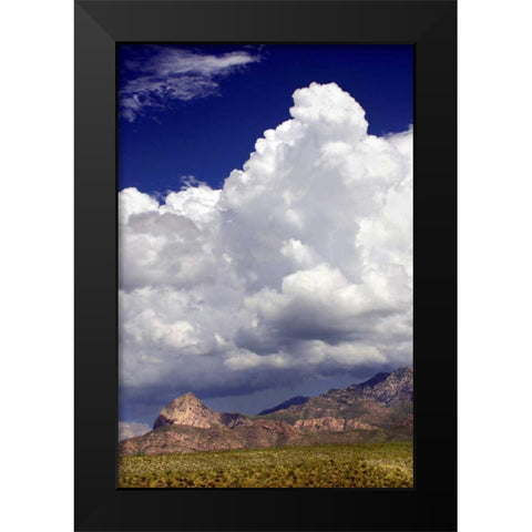 Gathering Summer Storm Black Modern Wood Framed Art Print by Taylor, Douglas