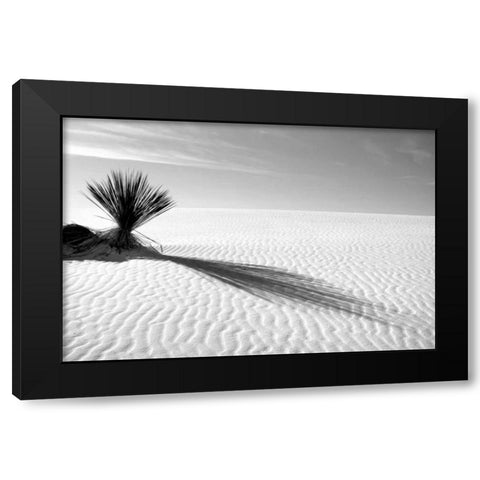 Shadows in the Sand I Black Modern Wood Framed Art Print by Taylor, Douglas
