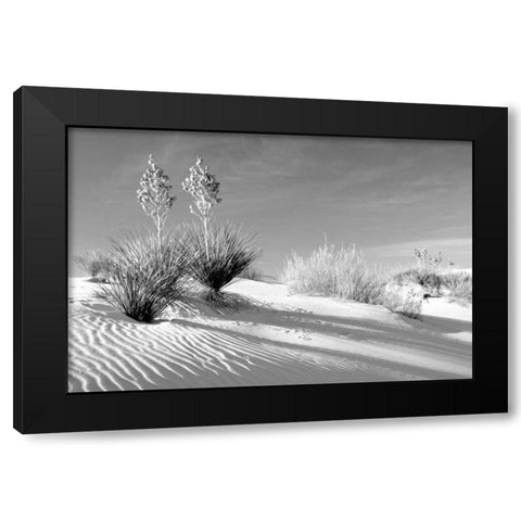 Shadows in the Sand II Black Modern Wood Framed Art Print by Taylor, Douglas