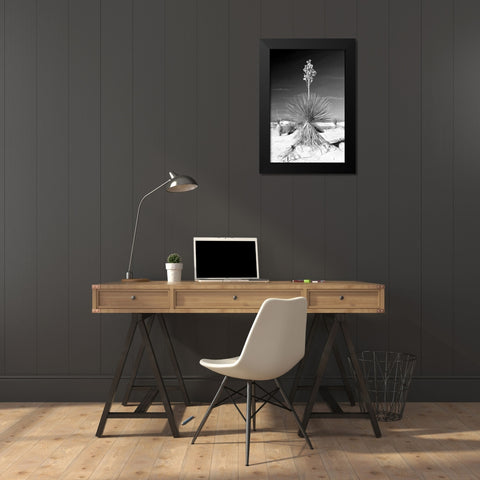 Yucca At White Sands I Black Modern Wood Framed Art Print by Taylor, Douglas