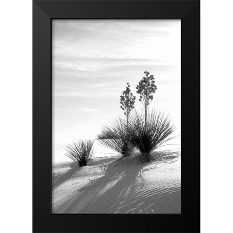 Yucca At White Sands II Black Modern Wood Framed Art Print by Taylor, Douglas