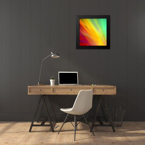 Brushfire I Black Modern Wood Framed Art Print by Taylor, Douglas