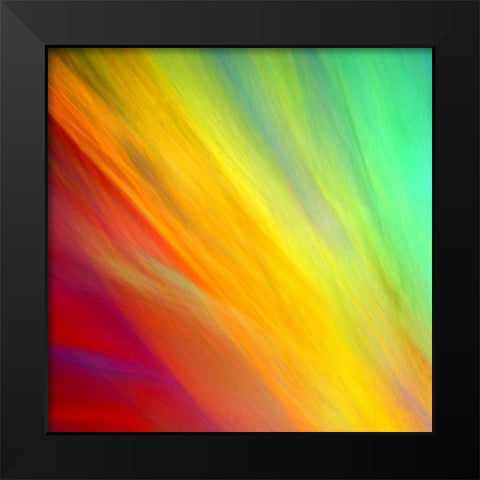 Brushfire I Black Modern Wood Framed Art Print by Taylor, Douglas