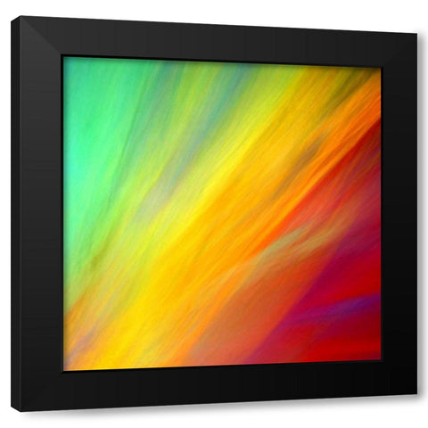 Brushfire II Black Modern Wood Framed Art Print with Double Matting by Taylor, Douglas