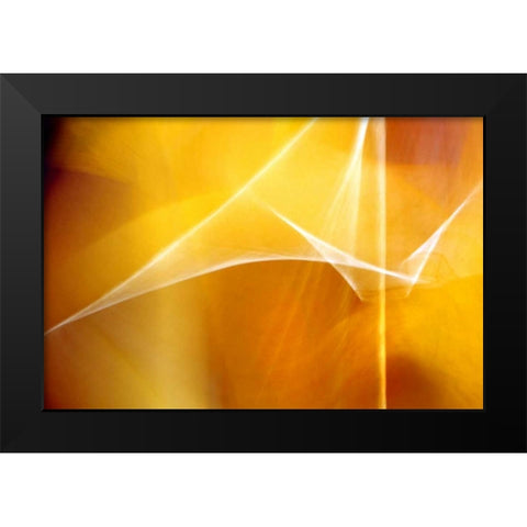 Amber Abstract I Black Modern Wood Framed Art Print by Taylor, Douglas