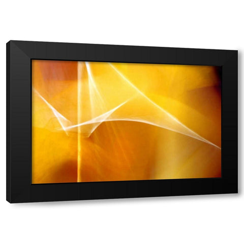 Amber Abstract II Black Modern Wood Framed Art Print by Taylor, Douglas