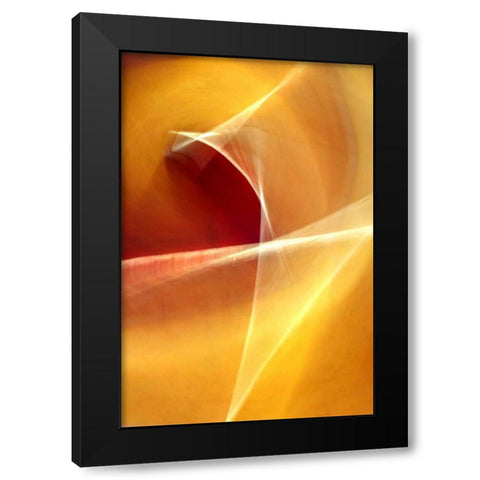 Ballet of Light Black Modern Wood Framed Art Print with Double Matting by Taylor, Douglas