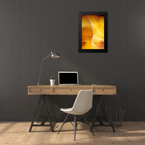 Amber Refraction I Black Modern Wood Framed Art Print by Taylor, Douglas