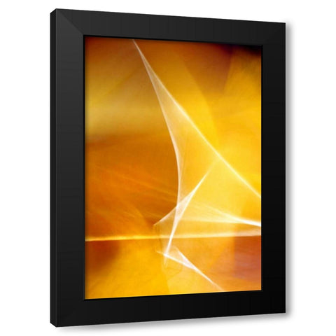 Amber Refraction I Black Modern Wood Framed Art Print by Taylor, Douglas