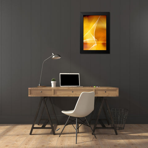 Amber Refraction II Black Modern Wood Framed Art Print by Taylor, Douglas