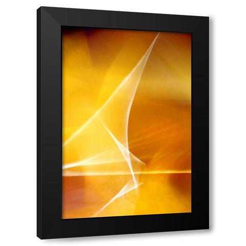 Amber Refraction II Black Modern Wood Framed Art Print by Taylor, Douglas