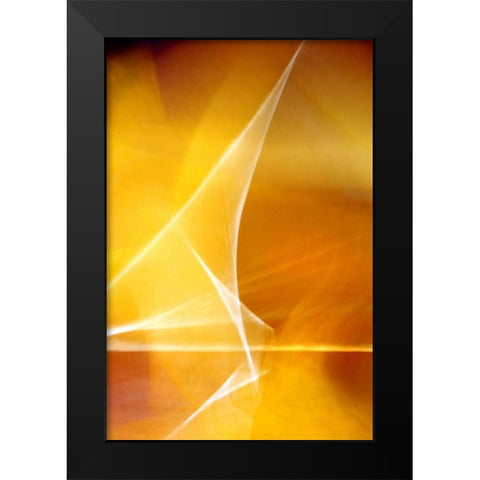 Amber Refraction II Black Modern Wood Framed Art Print by Taylor, Douglas