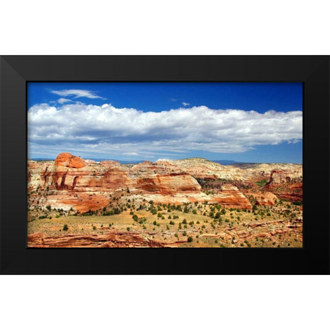 Slickrock County Black Modern Wood Framed Art Print by Taylor, Douglas