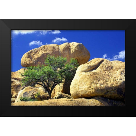 Texas Canyon Rocks II Black Modern Wood Framed Art Print by Taylor, Douglas